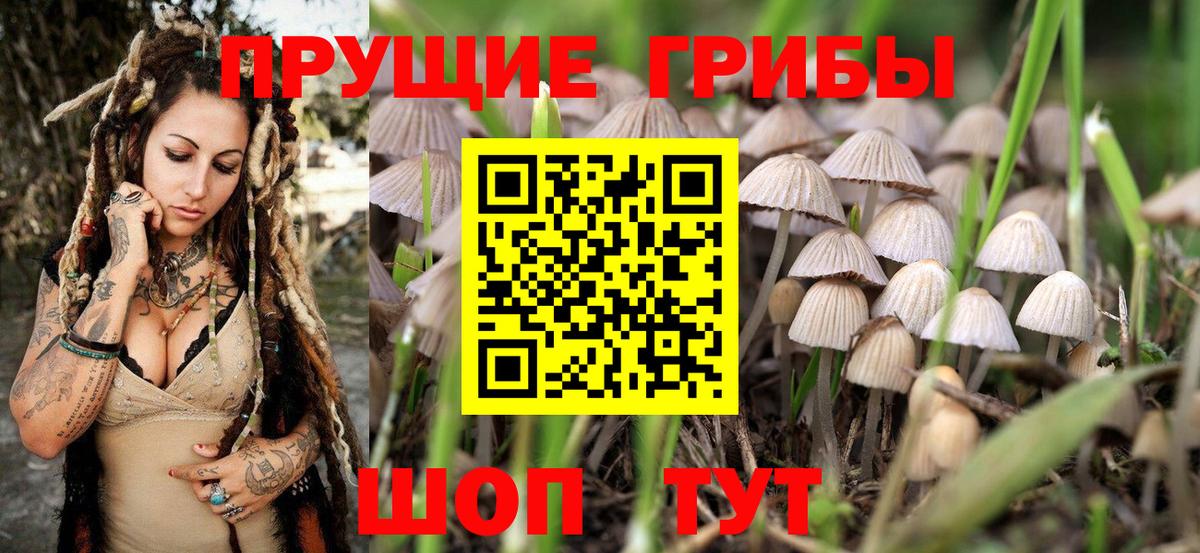 Симферополь  Галлюциногенные грибы GOLDEN TEACHER  Вход с VPN  Псилоцибиновые грибы Magic Shrooms 